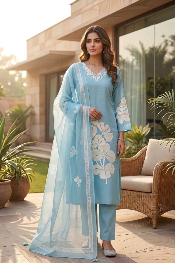 Powder Blue Suit Set With Patch Work Embroidery