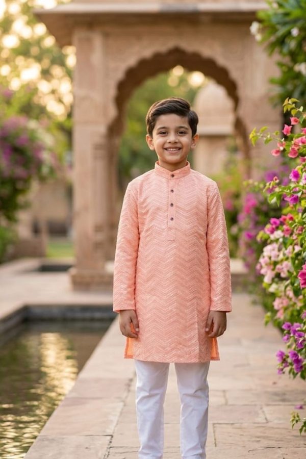 Peach Shade Embroidery Kurta Set