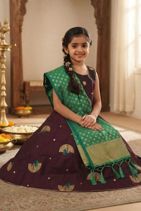 Purple Shade Lehenga Choli